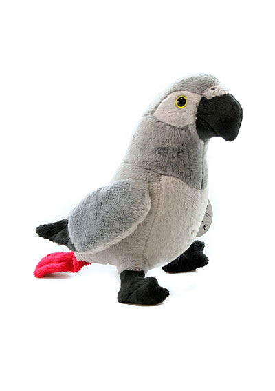 Papagáj šedý