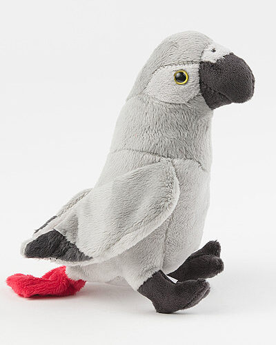 Papagáj šedý