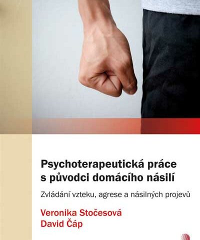 Psychoterapeutická práce s původci domácího násilí