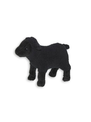 Čierna ovca