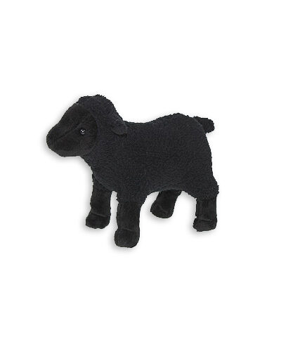 Čierna ovca