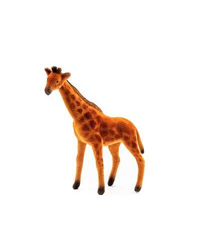 Žirafa – semiš