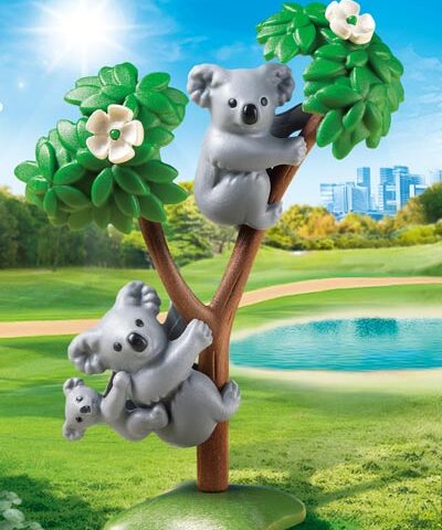 Koalas mit Jungen