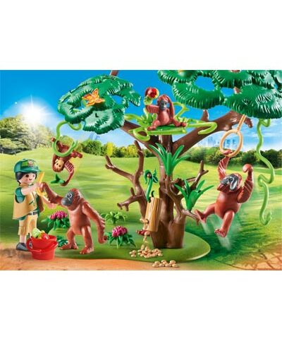 Orang-Utans auf einem Baum