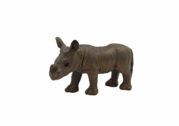 Nosorožec – mláďa samostatne