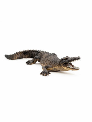 Krokodíl s otvorenou tlamou
