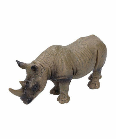 Nosorožec africký