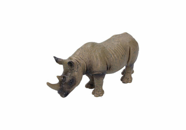 Nosorožec africký