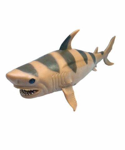 Žralok tigrovaný – strečový