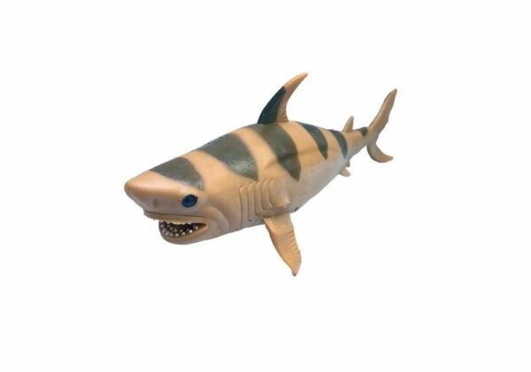 Žralok tigrovaný – strečový
