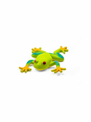 Žaba – listovnica červenooká