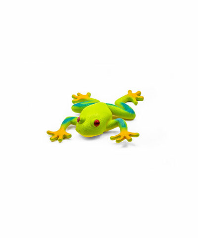 Žaba – listovnica červenooká