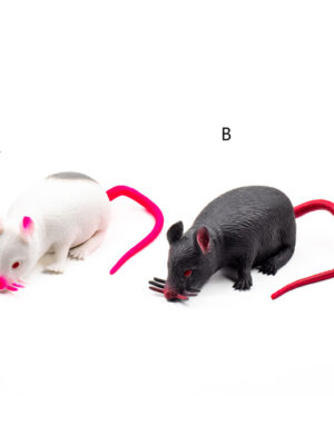 Potkan – biely/čierny