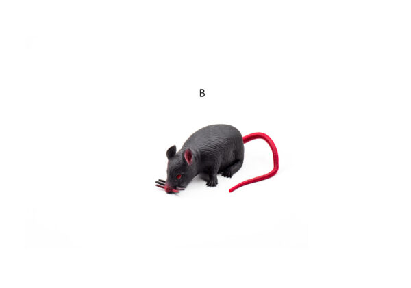 Variant B – čierny potkan