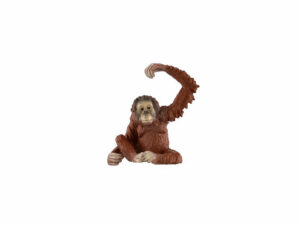 Orangutan – pohyblivé rameno