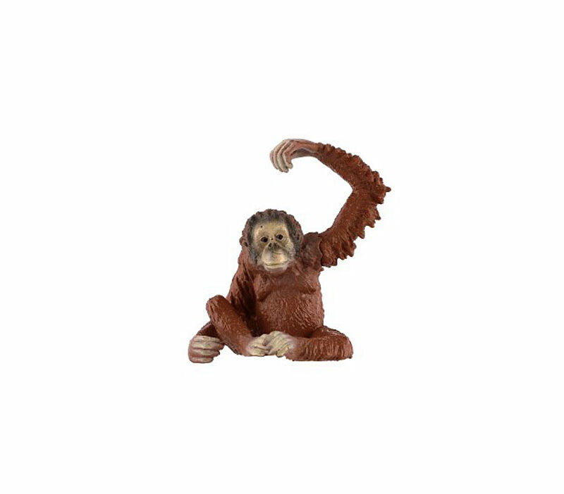 Orangutan – pohyblivé rameno