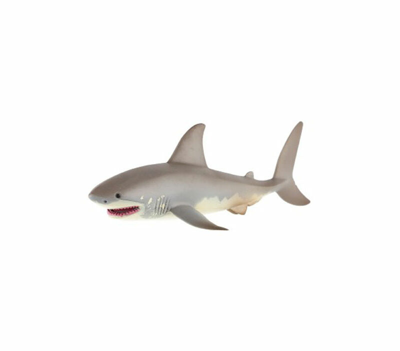 Žralok biely s pootvorenou tlamou
