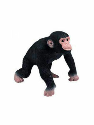 Strečový šimpanz