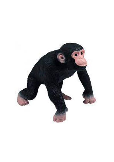 Strečový šimpanz
