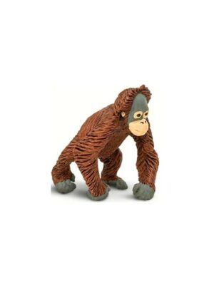 Mláďa orangutana