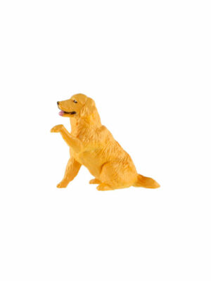 Zlatý retriever podávajúci labku