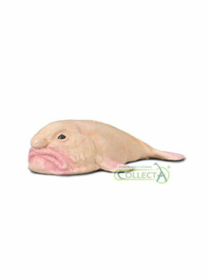 Blobfish | CollectA realistická figúrka