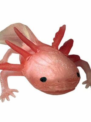Strečový axolotl