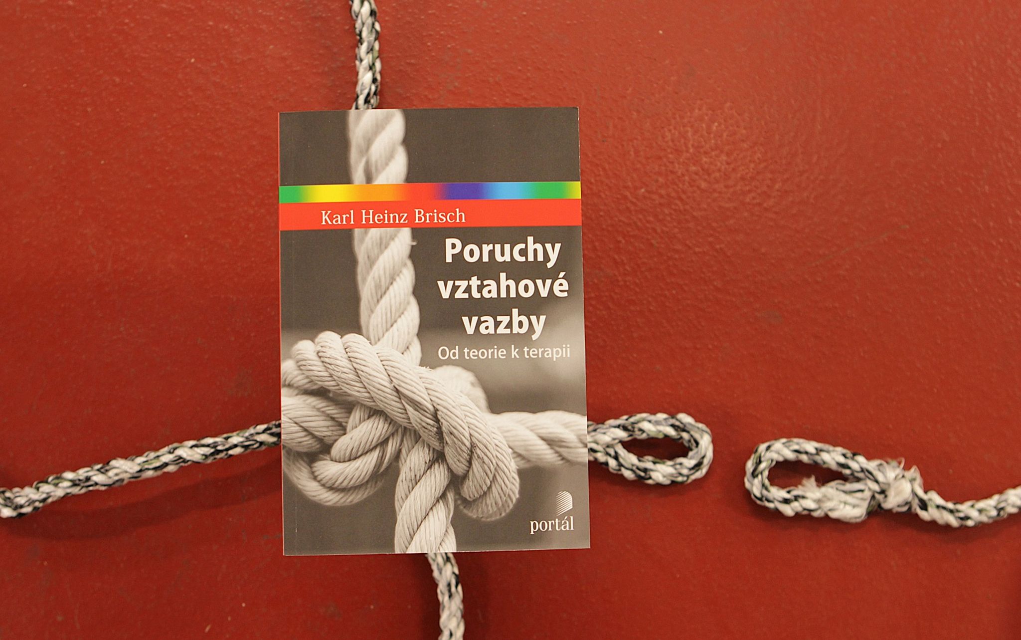 Poruchy vztahové vazby